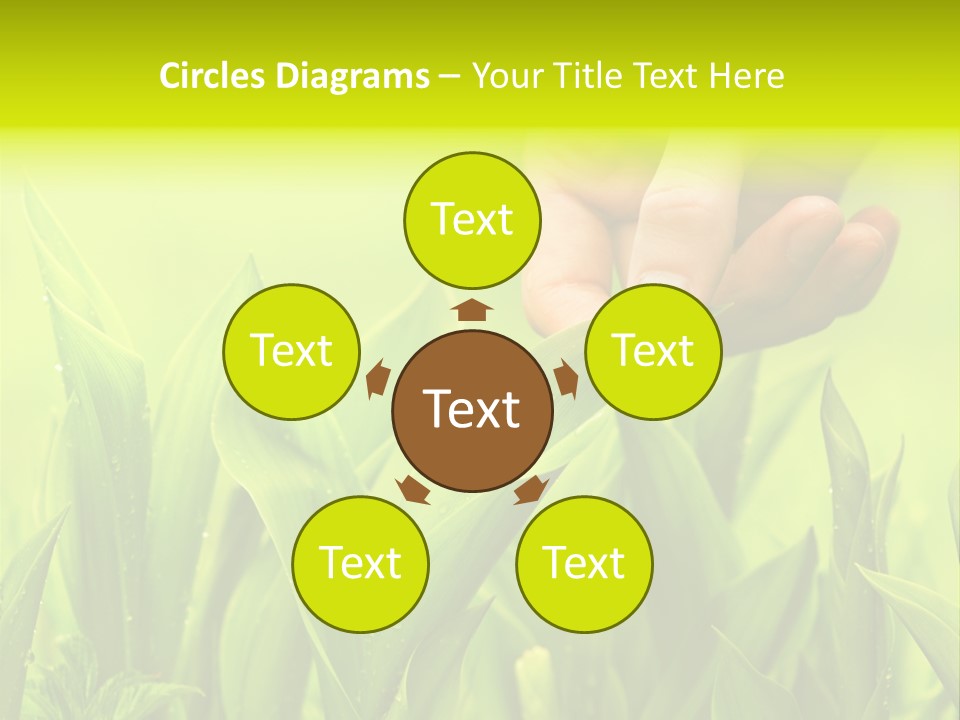 Stem Natural Spring PowerPoint Template