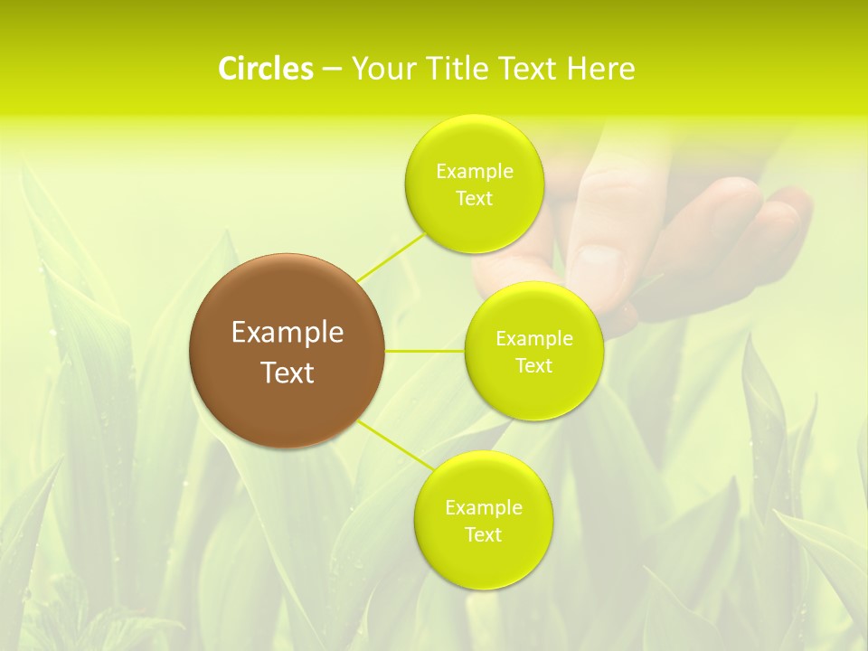 Stem Natural Spring PowerPoint Template