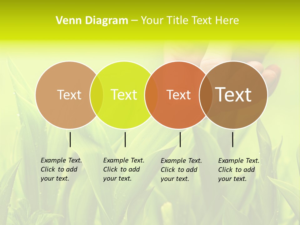 Stem Natural Spring PowerPoint Template