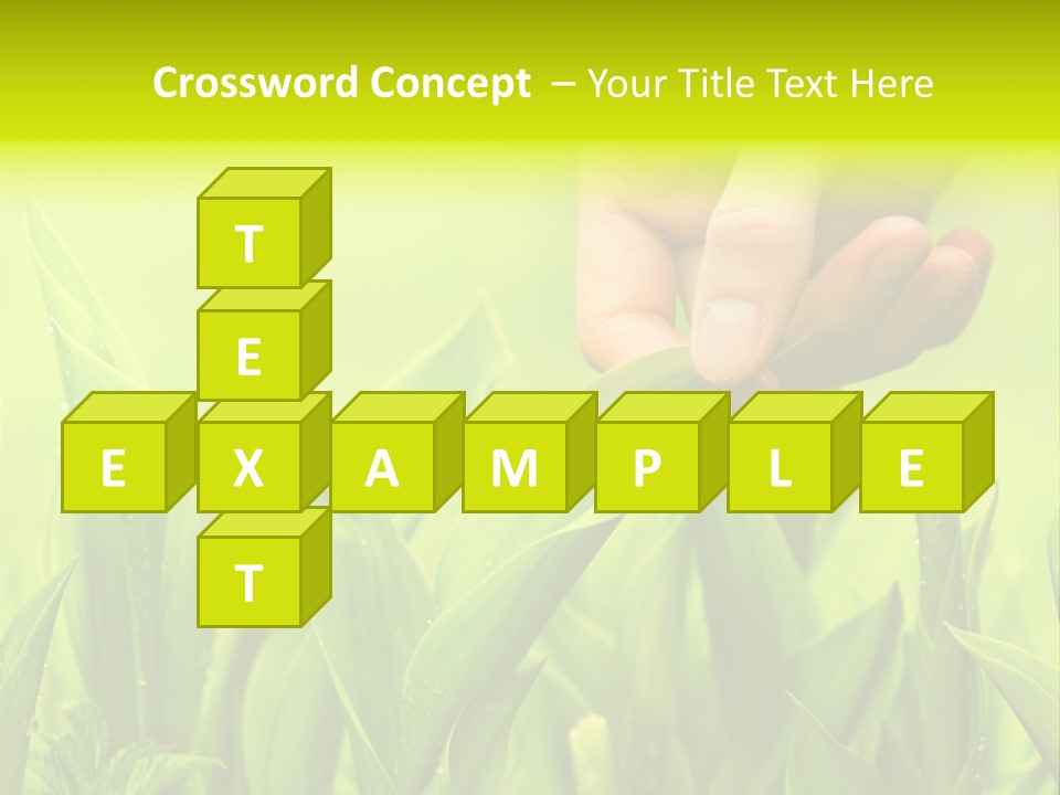 Stem Natural Spring PowerPoint Template