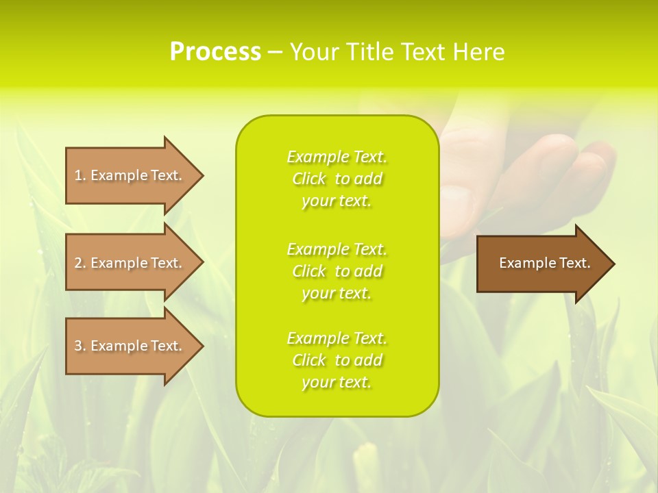 Stem Natural Spring PowerPoint Template