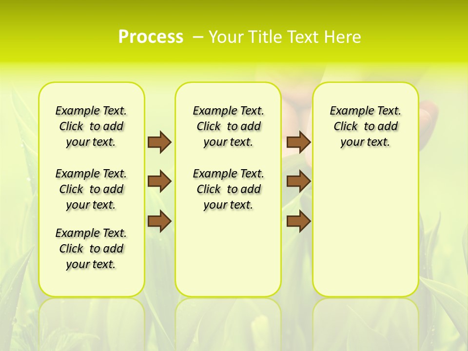 Stem Natural Spring PowerPoint Template