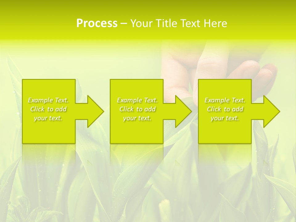 Stem Natural Spring PowerPoint Template