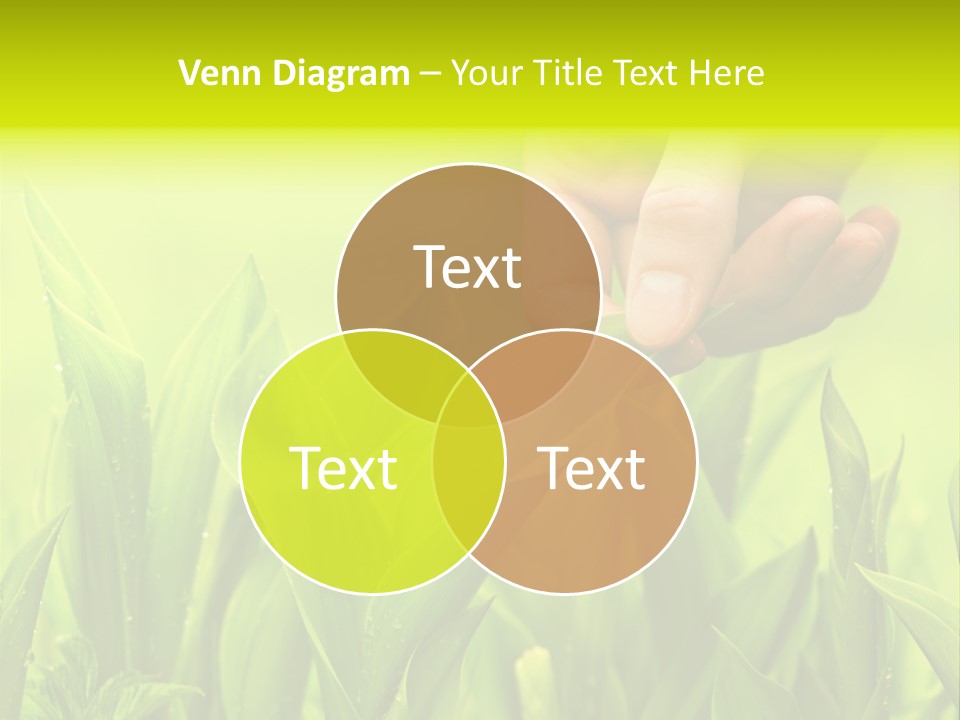 Stem Natural Spring PowerPoint Template