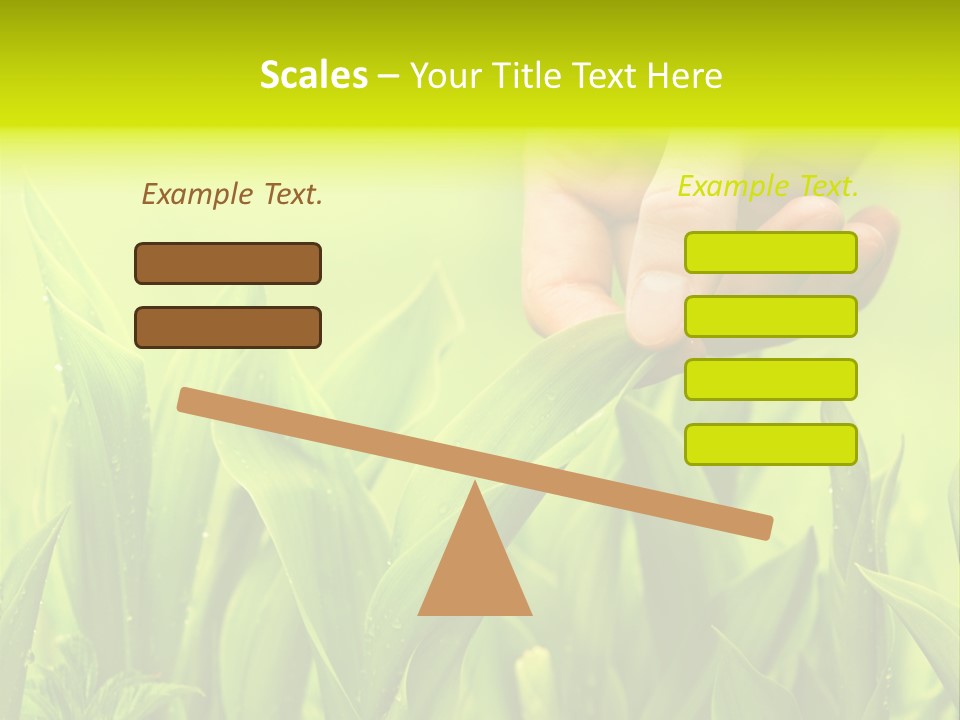 Stem Natural Spring PowerPoint Template