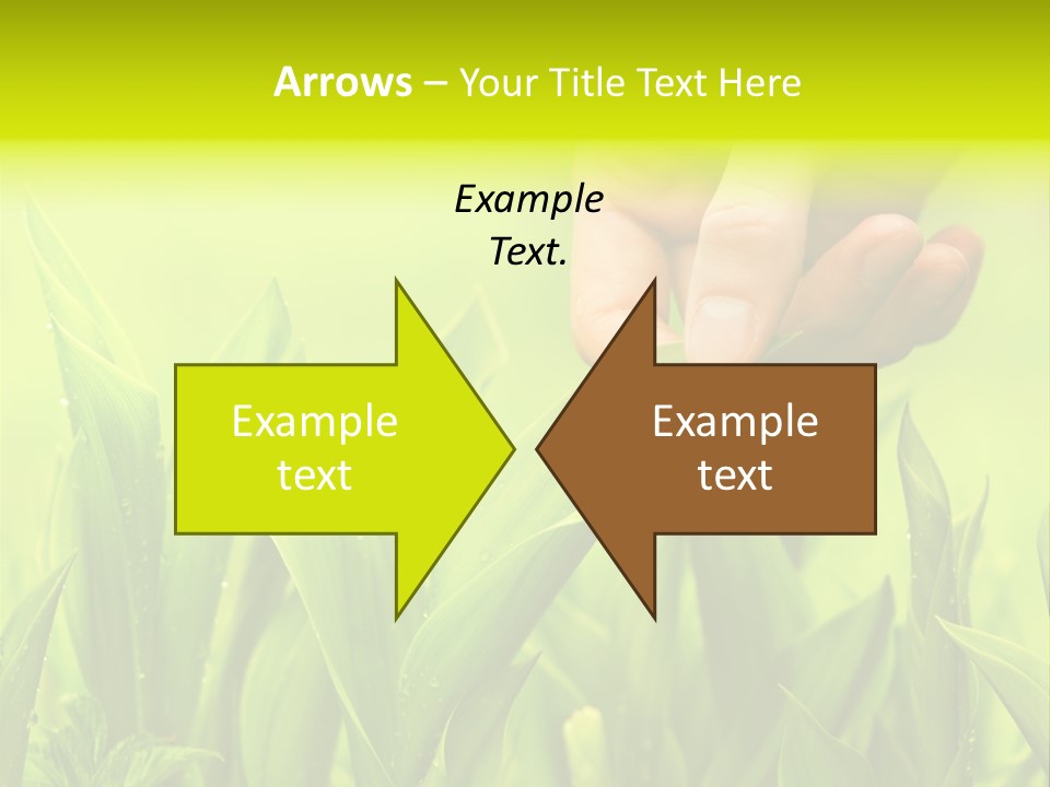 Stem Natural Spring PowerPoint Template