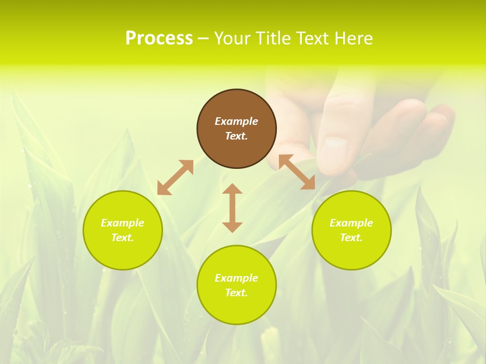 Stem Natural Spring PowerPoint Template
