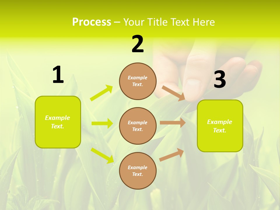 Stem Natural Spring PowerPoint Template
