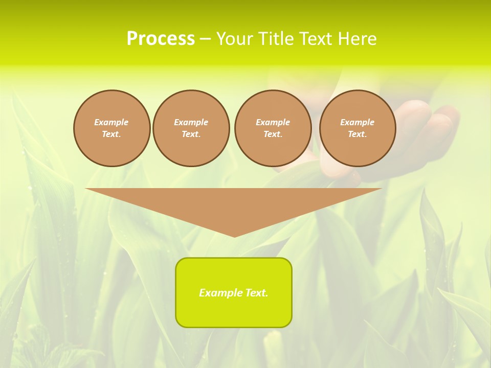 Stem Natural Spring PowerPoint Template