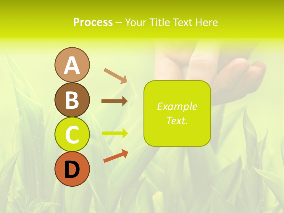 Stem Natural Spring PowerPoint Template
