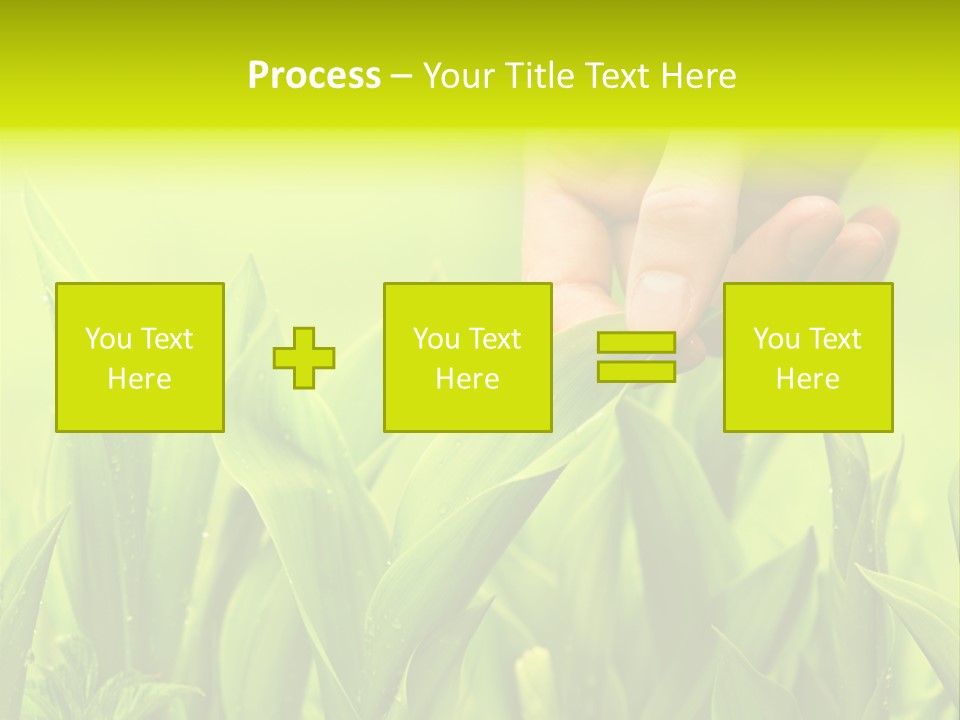 Stem Natural Spring PowerPoint Template