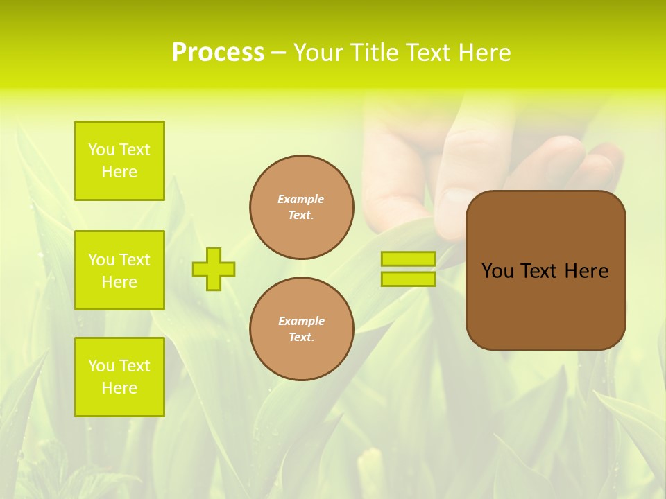 Stem Natural Spring PowerPoint Template