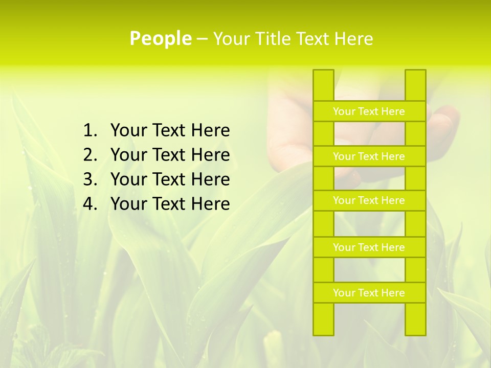 Stem Natural Spring PowerPoint Template