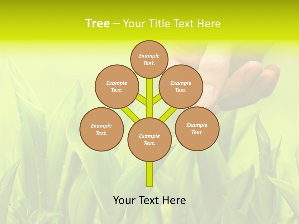 Stem Natural Spring PowerPoint Template