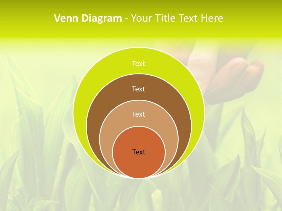 Stem Natural Spring PowerPoint Template
