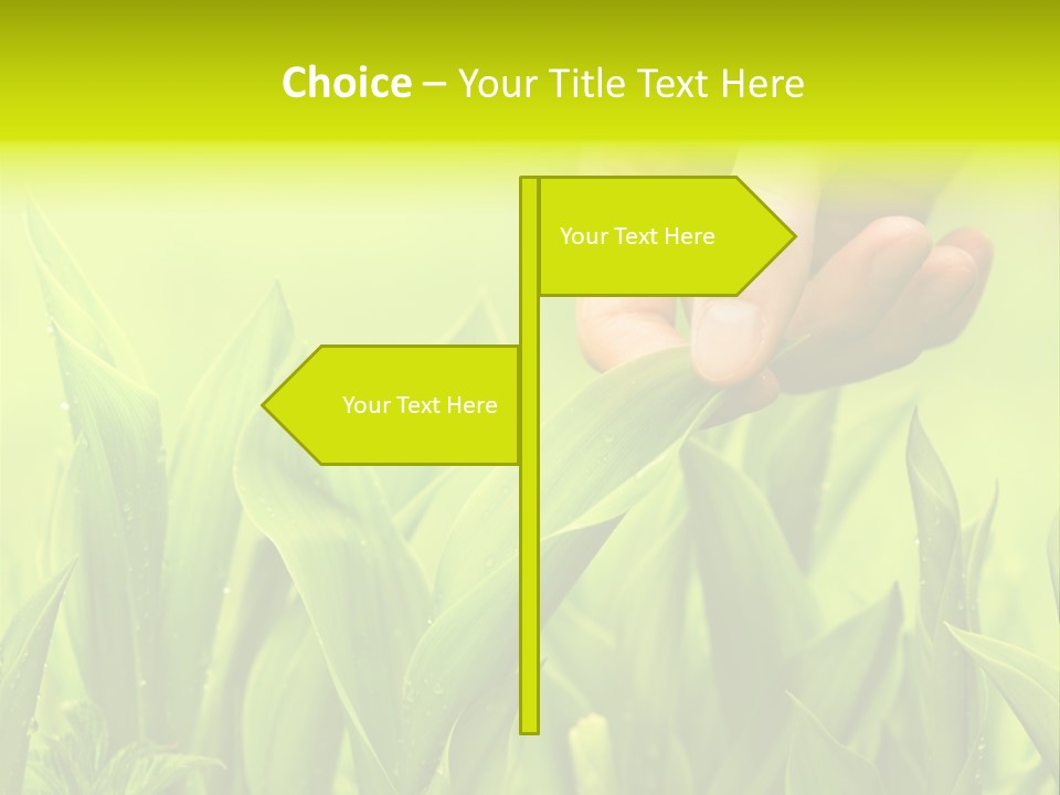 Stem Natural Spring PowerPoint Template