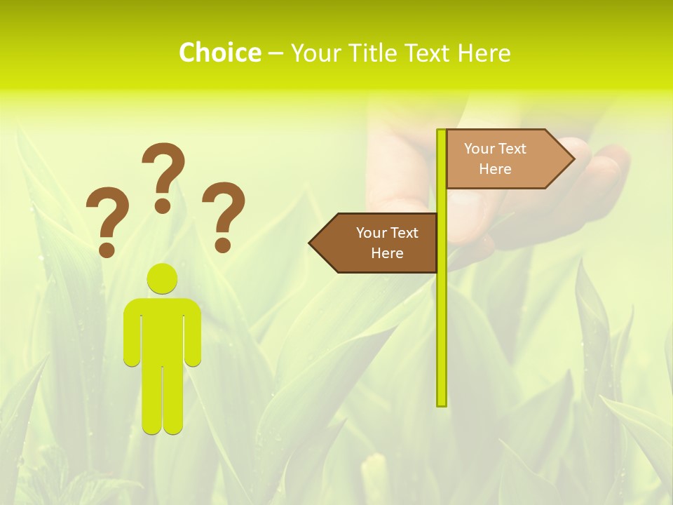 Stem Natural Spring PowerPoint Template