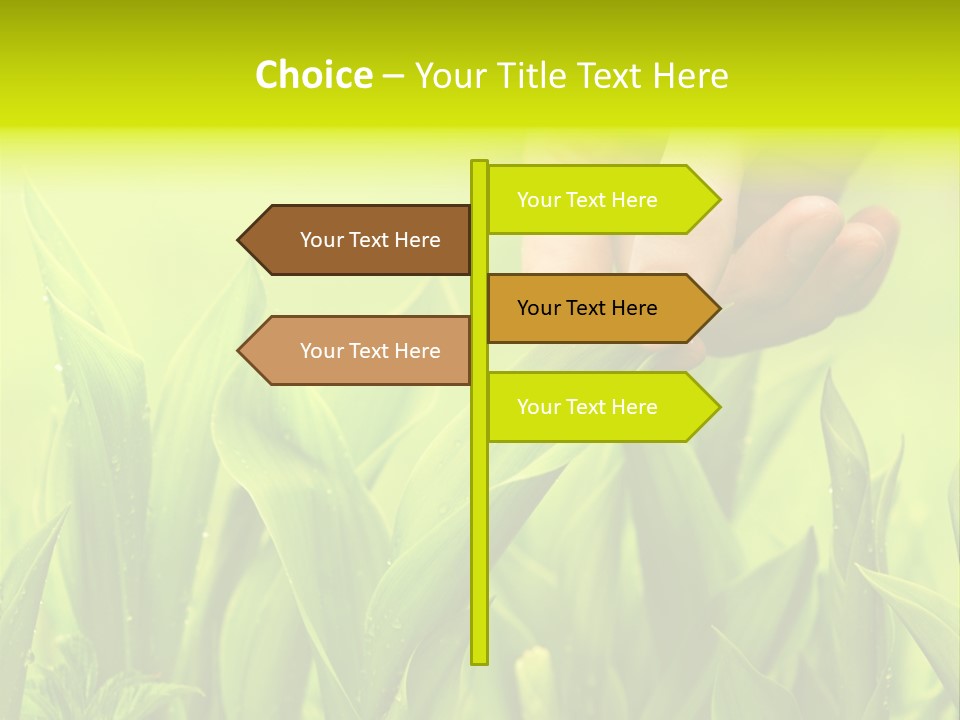 Stem Natural Spring PowerPoint Template