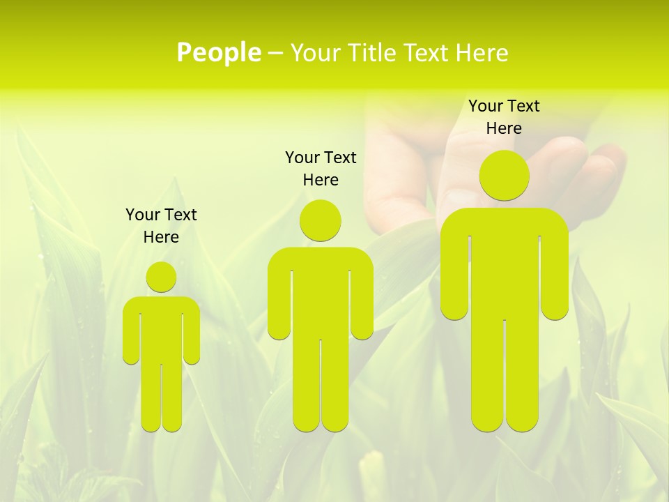 Stem Natural Spring PowerPoint Template