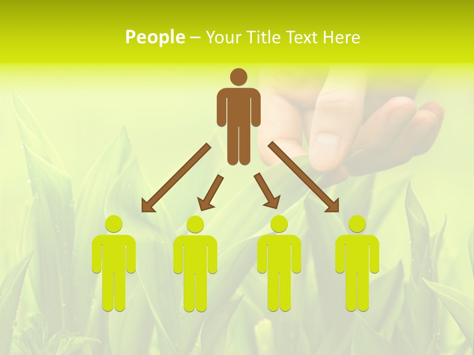 Stem Natural Spring PowerPoint Template