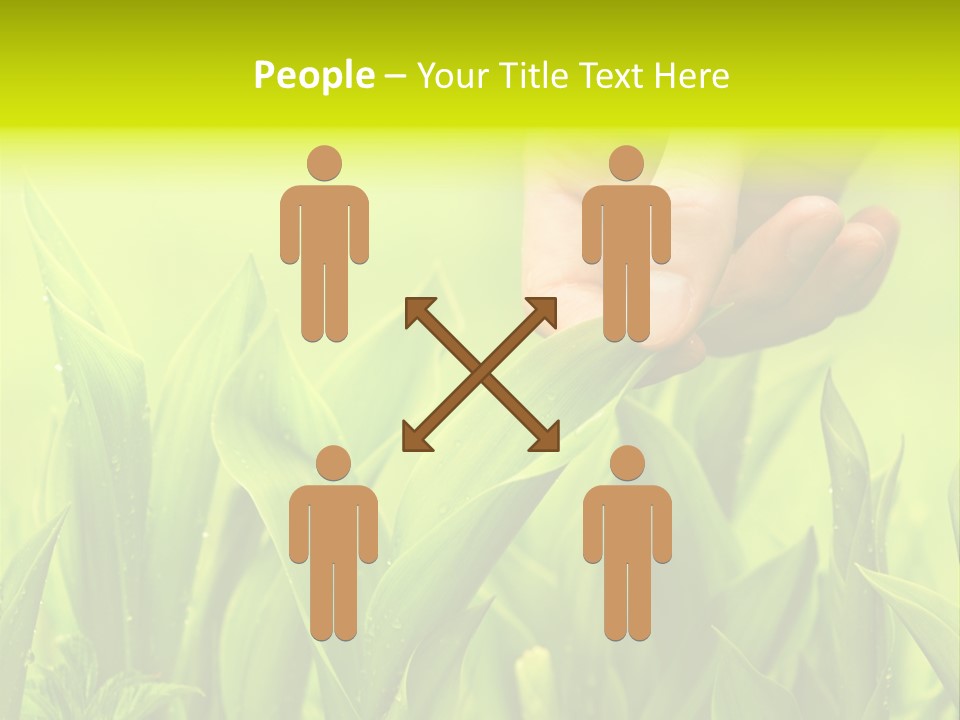 Stem Natural Spring PowerPoint Template