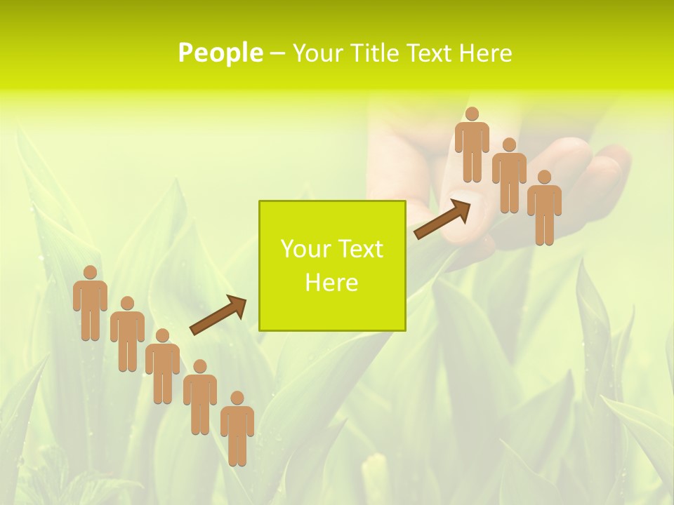 Stem Natural Spring PowerPoint Template