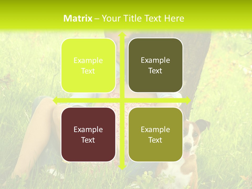 Colour Flower Young PowerPoint Template