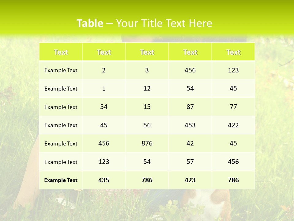 Colour Flower Young PowerPoint Template
