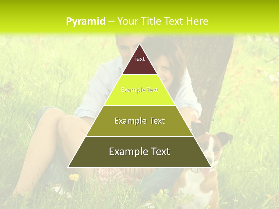 Colour Flower Young PowerPoint Template