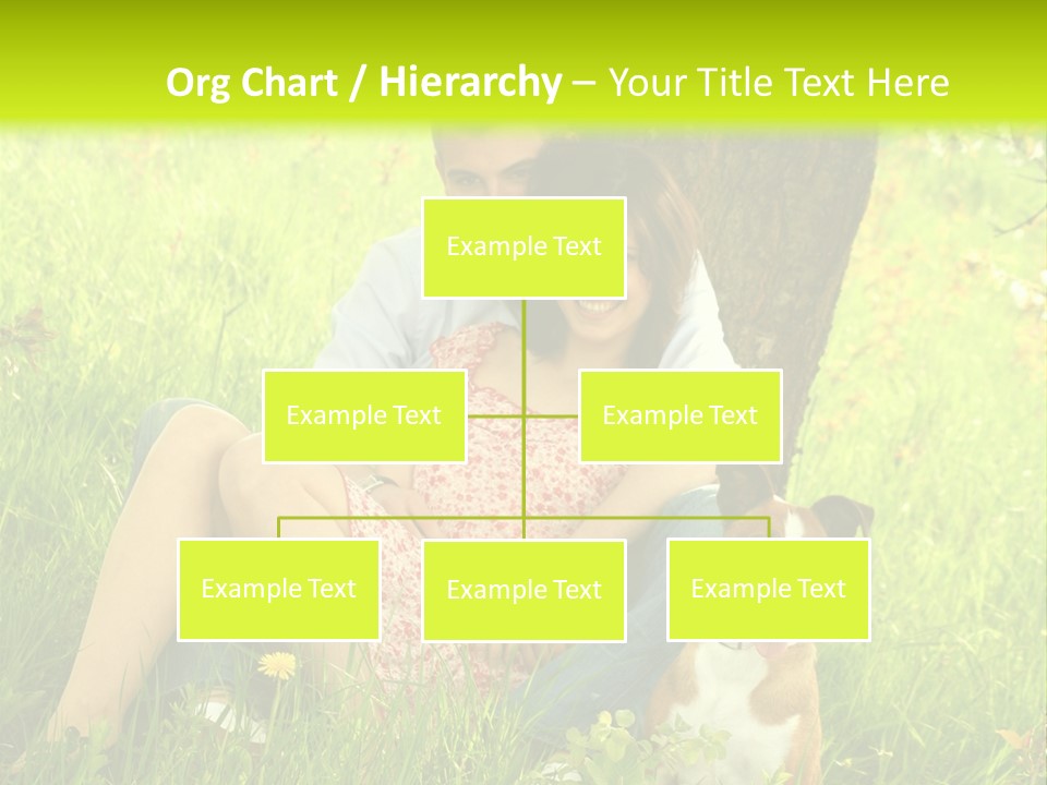 Colour Flower Young PowerPoint Template