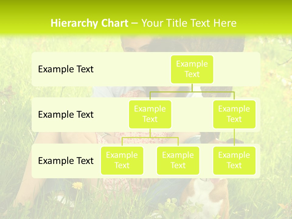 Colour Flower Young PowerPoint Template