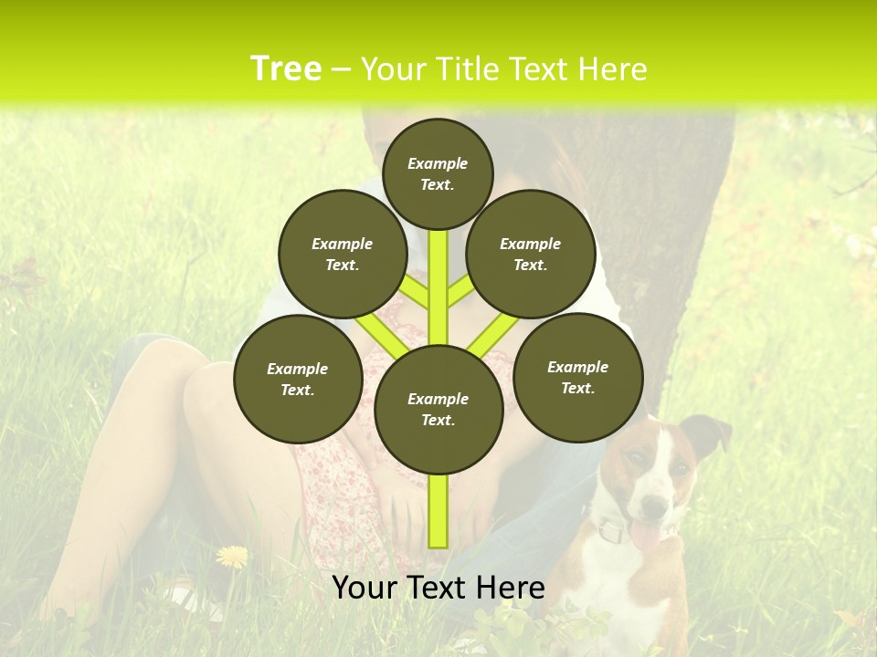 Colour Flower Young PowerPoint Template