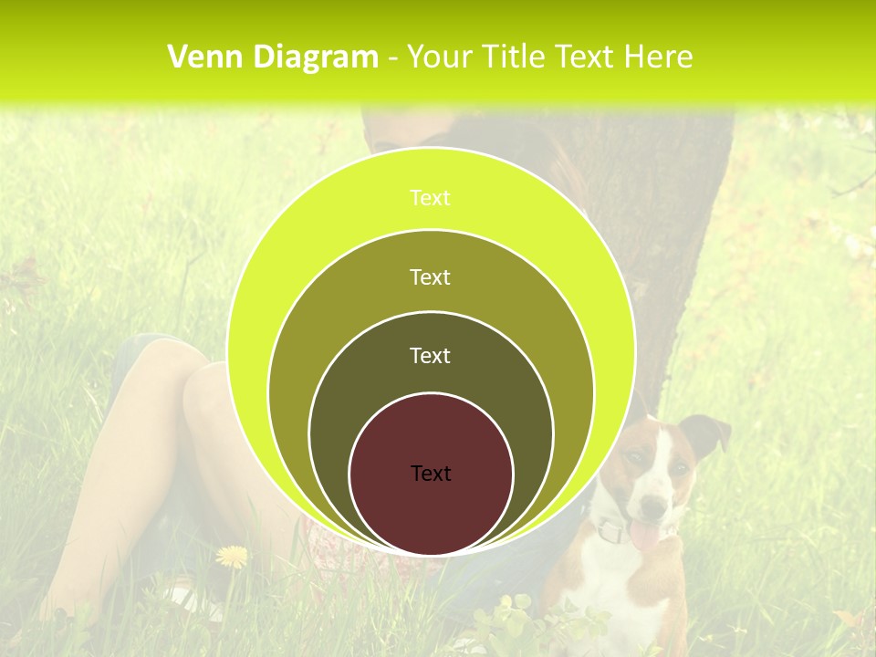 Colour Flower Young PowerPoint Template