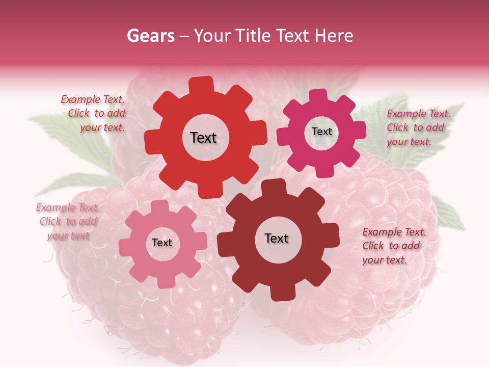 Raspberry Food Vitamin PowerPoint Template
