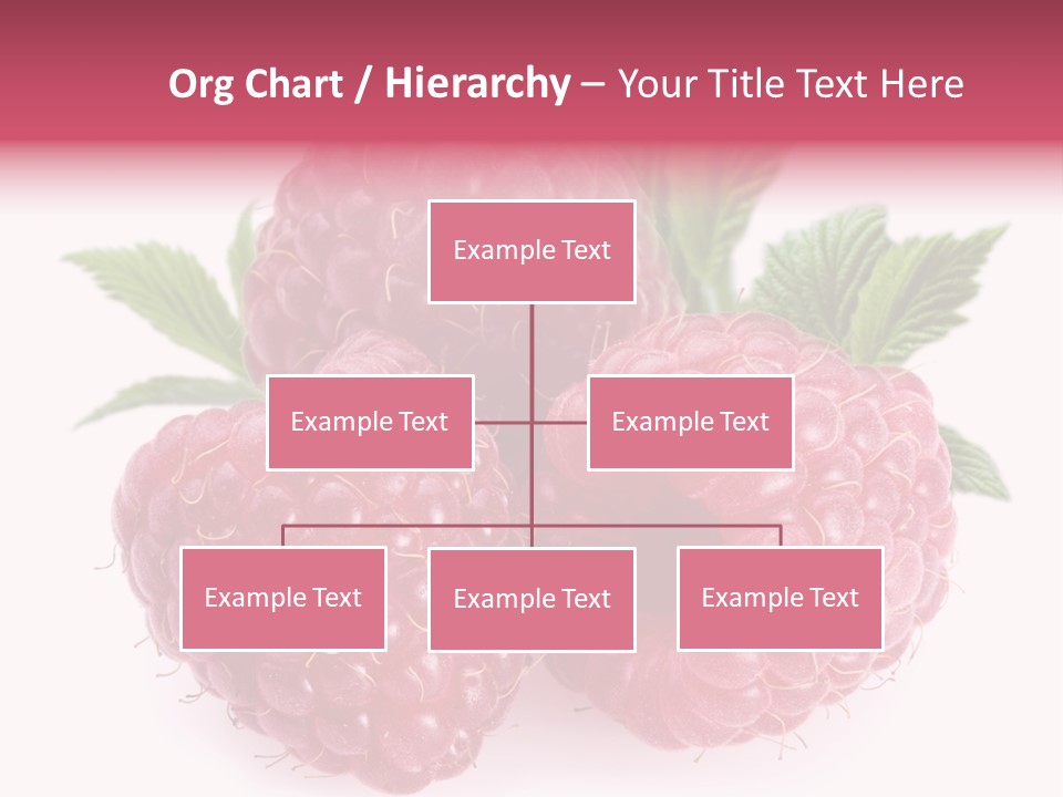 Raspberry Food Vitamin PowerPoint Template