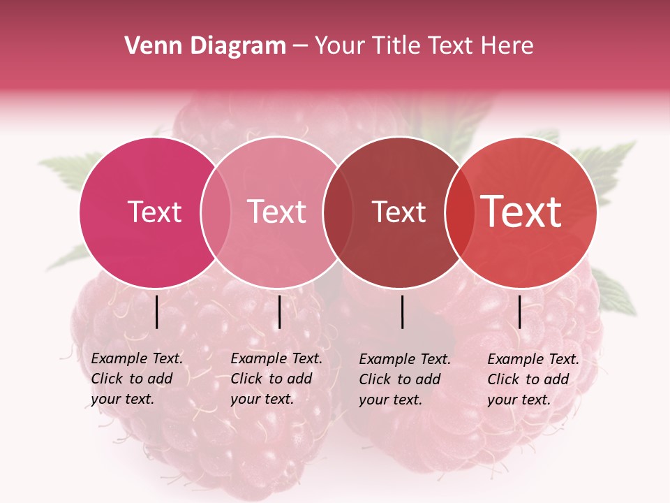 Raspberry Food Vitamin PowerPoint Template