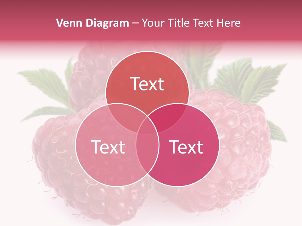 Raspberry Food Vitamin PowerPoint Template