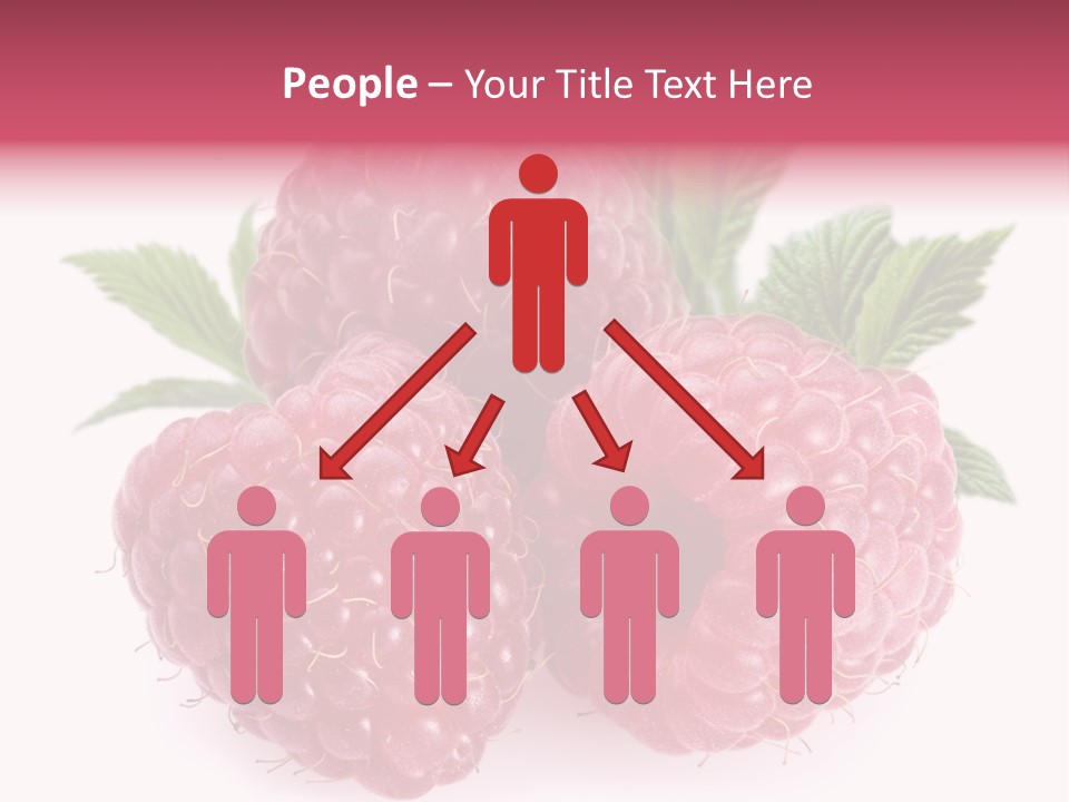 Raspberry Food Vitamin PowerPoint Template