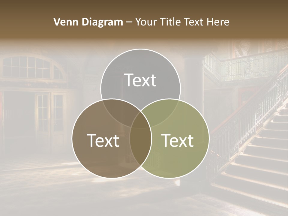 Wall Ddr Renovation PowerPoint Template