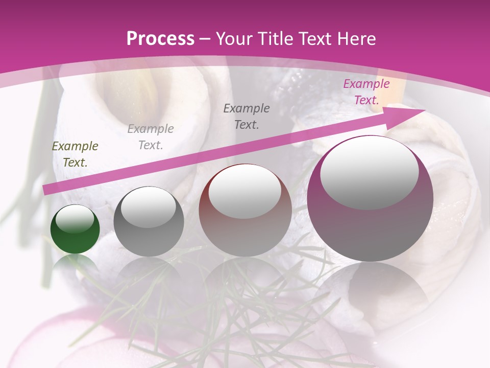 Sea Herring Fish PowerPoint Template