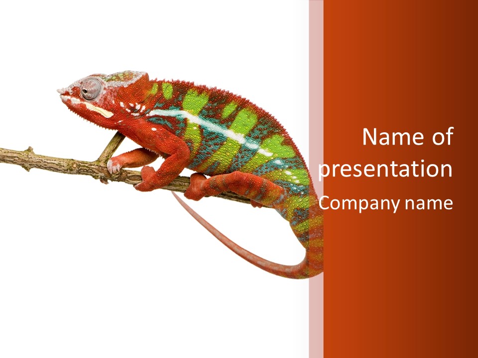 Dragoon Animal Camuelueontidues PowerPoint Template