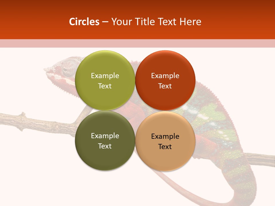 Dragoon Animal Camuelueontidues PowerPoint Template