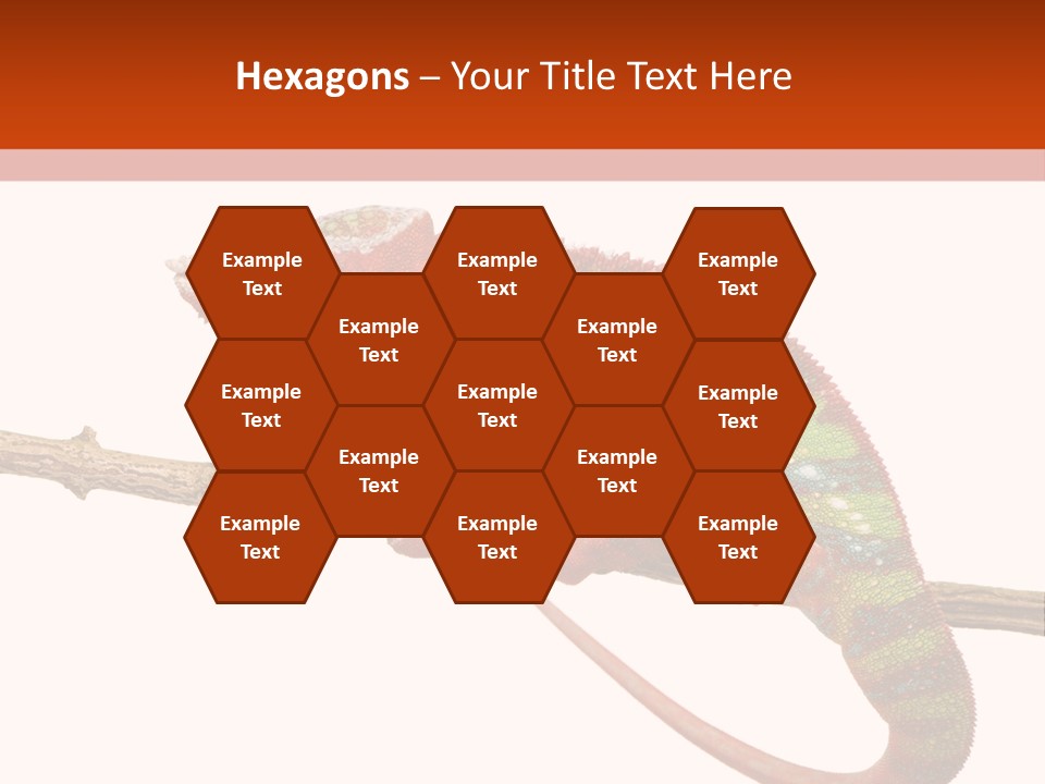 Dragoon Animal Camuelueontidues PowerPoint Template