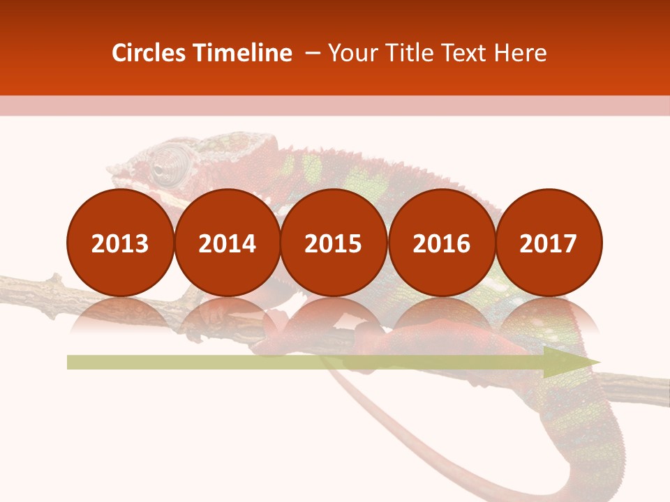 Dragoon Animal Camuelueontidues PowerPoint Template