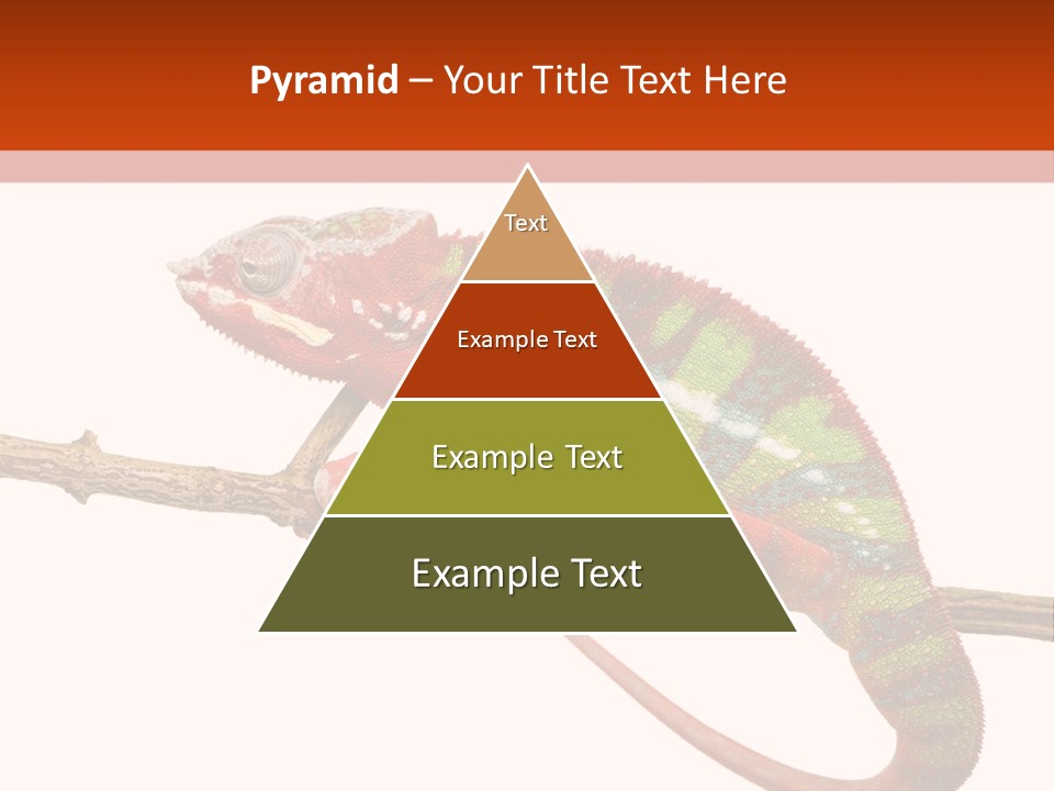 Dragoon Animal Camuelueontidues PowerPoint Template