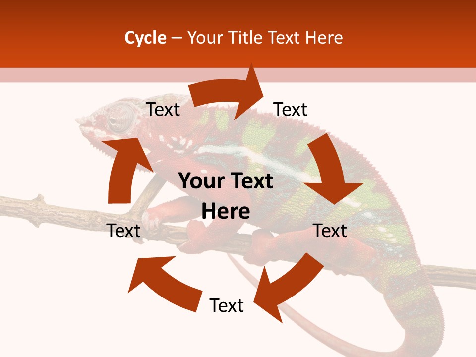 Dragoon Animal Camuelueontidues PowerPoint Template