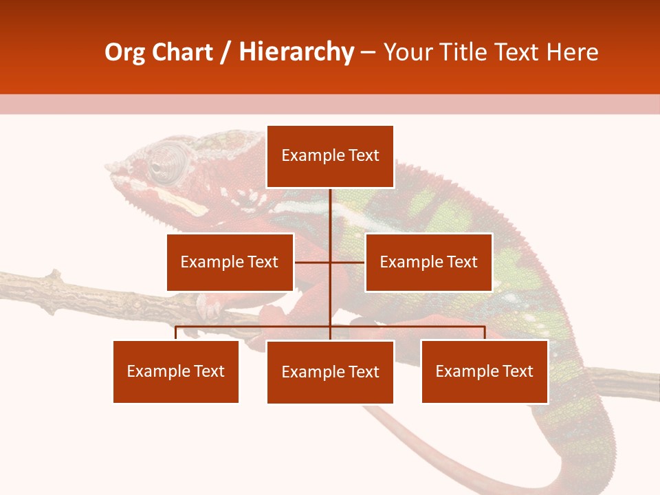 Dragoon Animal Camuelueontidues PowerPoint Template