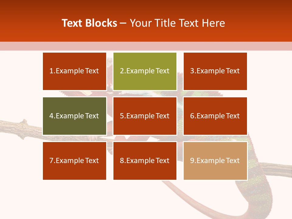 Dragoon Animal Camuelueontidues PowerPoint Template