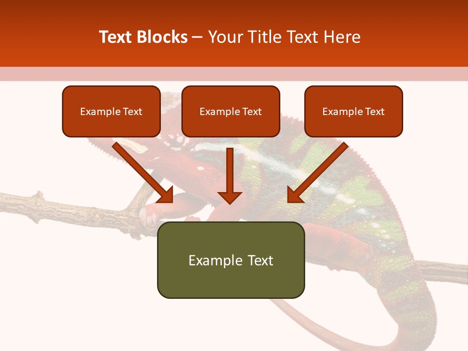 Dragoon Animal Camuelueontidues PowerPoint Template