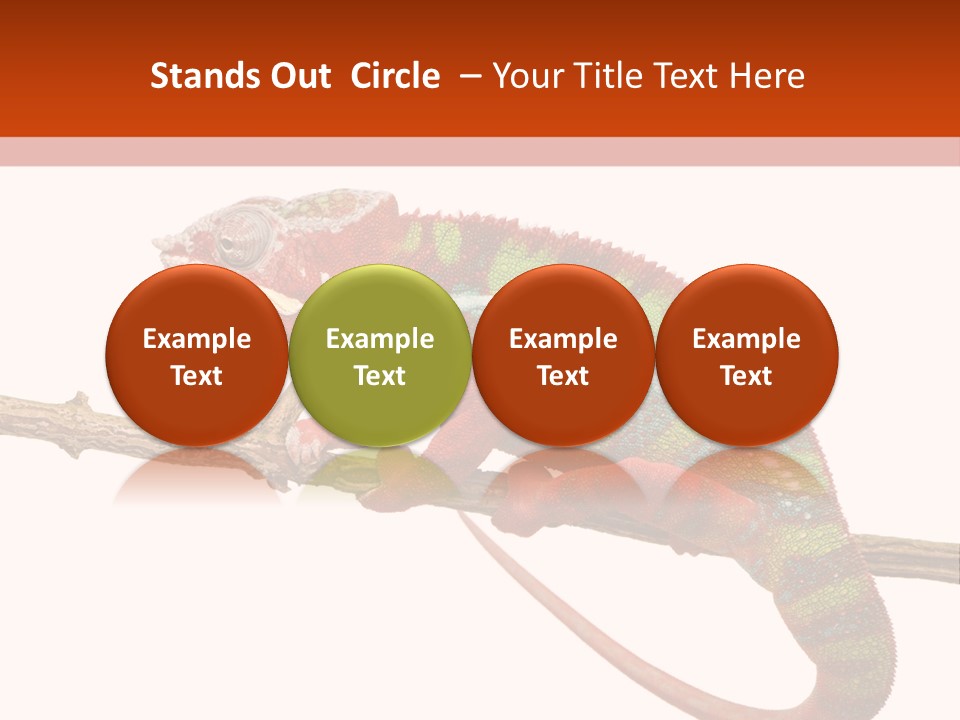 Dragoon Animal Camuelueontidues PowerPoint Template